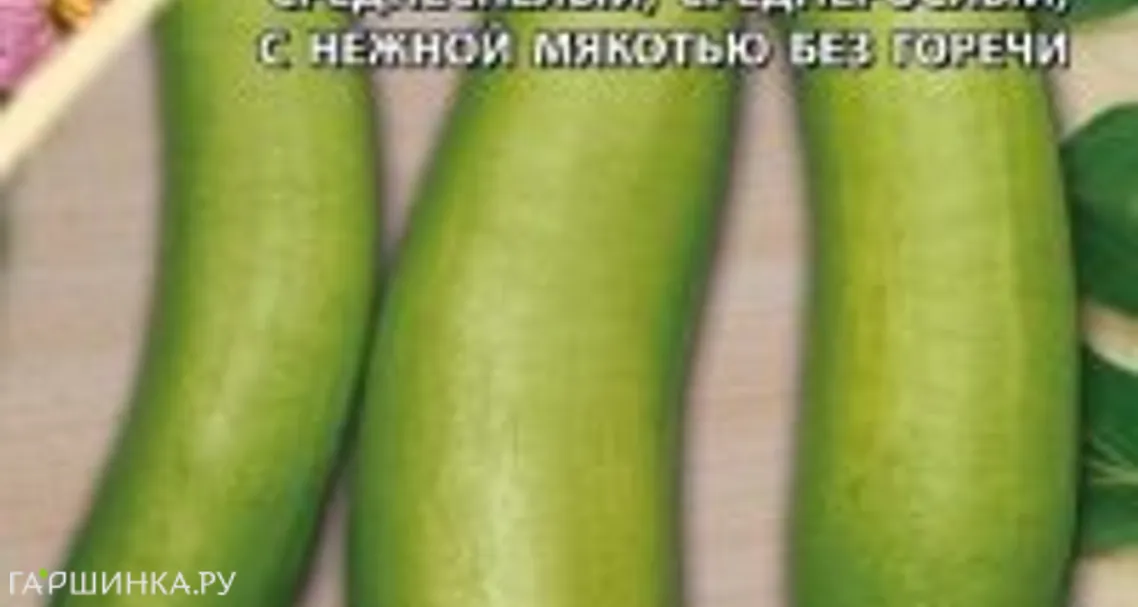 Баклажан Йога, зеленоплодный 0,3г