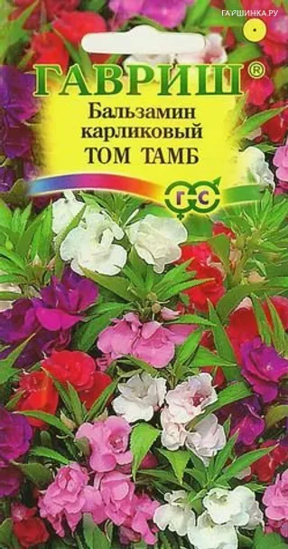 Бальзамин Том Тамб карлик.* 0,1г