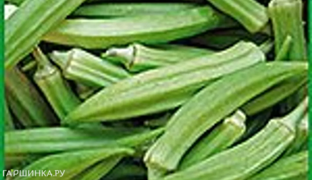 Бамия Клемсон (15 сем.)