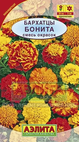 Бархатцы Бонита