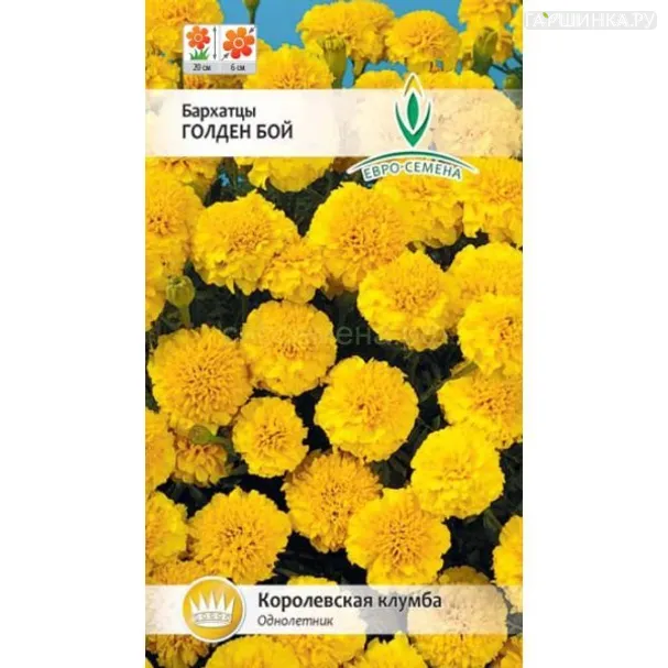 Бархатцы Голден бой отклоненные