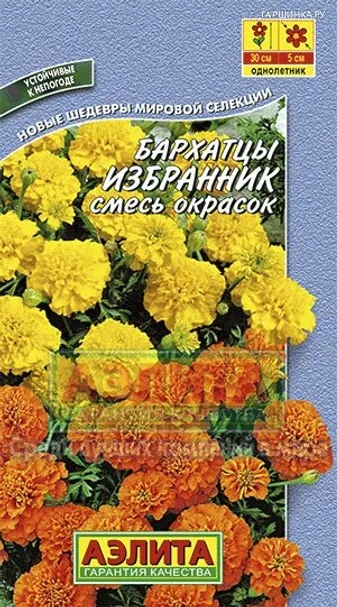 Бархатцы Избранник
