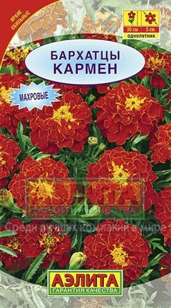 Бархатцы Кармен отклоненные