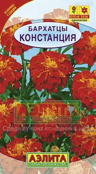 Бархатцы Констанция гибридные
