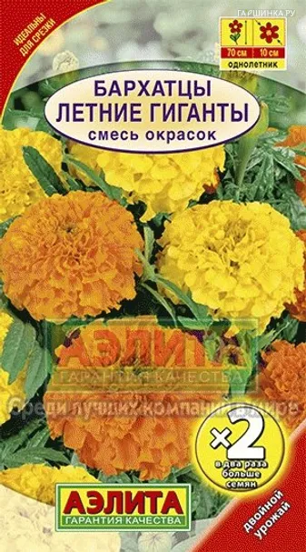 Бархатцы Летние гиганты