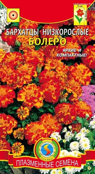 Бархатцы низкорослые Болеро