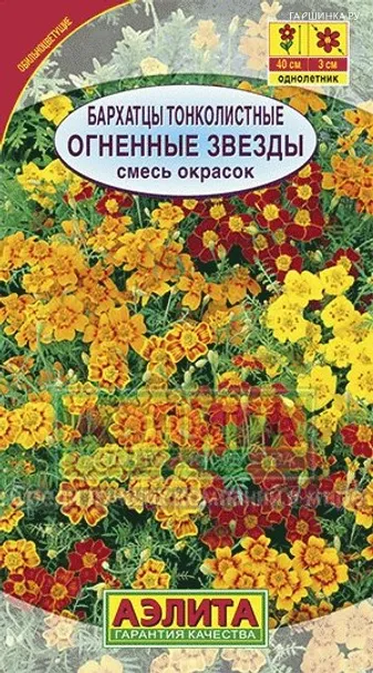Бархатцы Огненные звезды, смесь окрасок