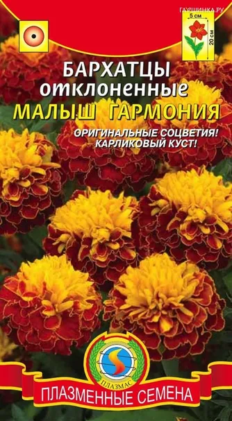 Бархатцы отклоненные Малыш Гармония