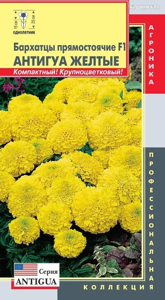Бархатцы пр. F1 (серия Antigua) Антигуа Желтые