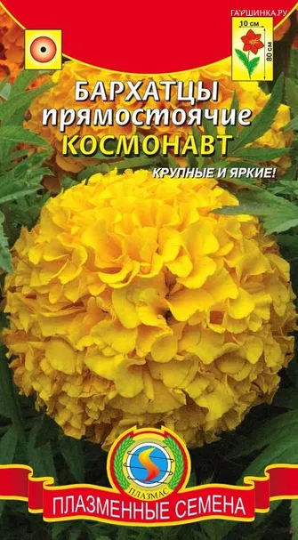 Бархатцы пр. Космонавт