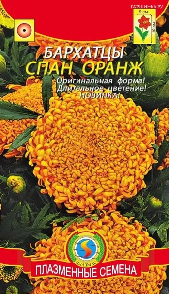Бархатцы Спан оранжевые ц/п