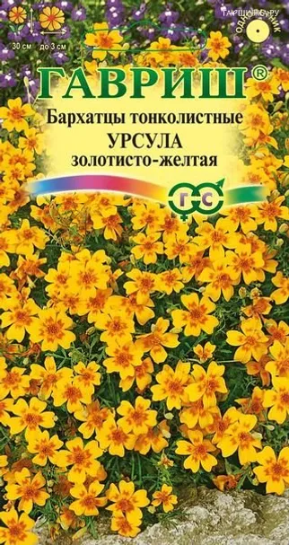 Бархатцы Урсула золотисто-желтая тонколистные (Гавриш), 0,05 г