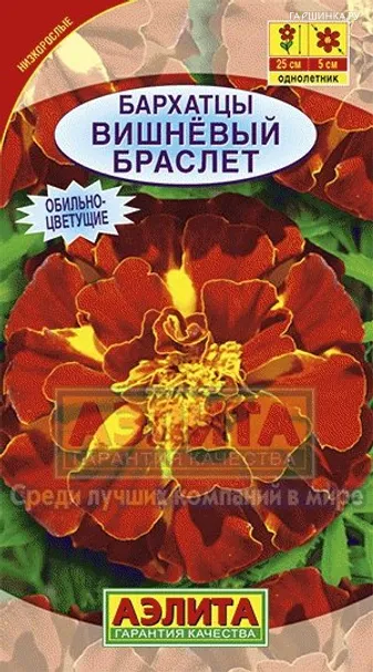 Бархатцы Вишневый браслет ц/п