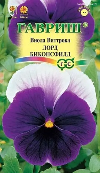 Виола Виттрока Лорд Биконсфилд 0,1г