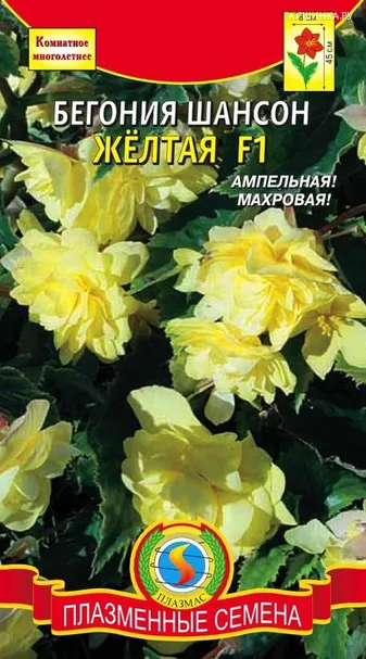 Бегония Шансон желтая F1 клубневая ампельная