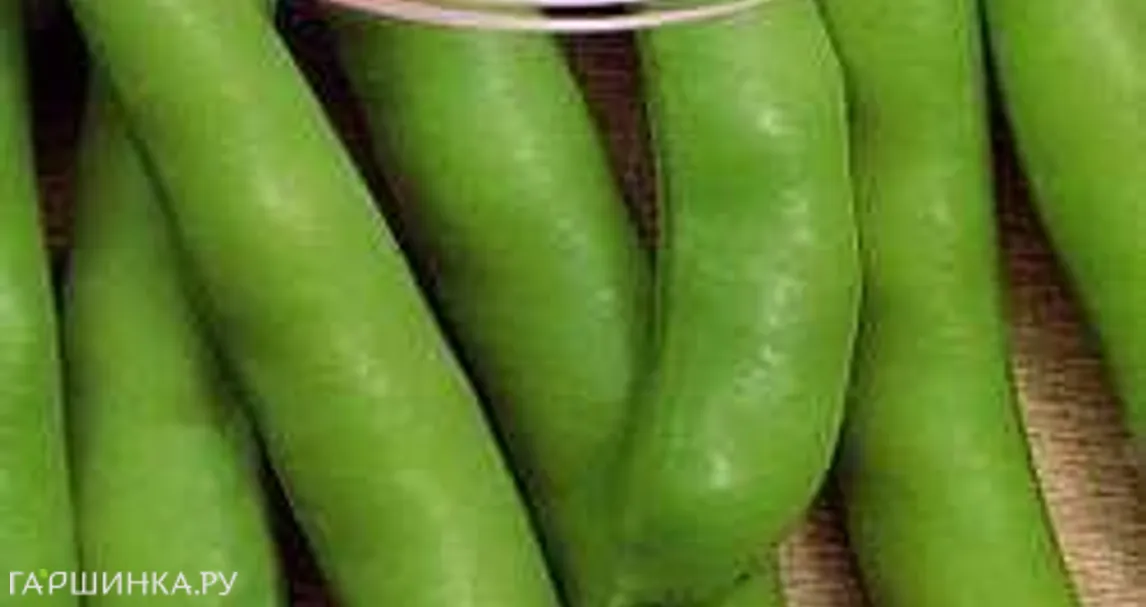 Бобы Велена 10 шт