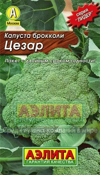 Брокколи Цезар, Семена Лидер