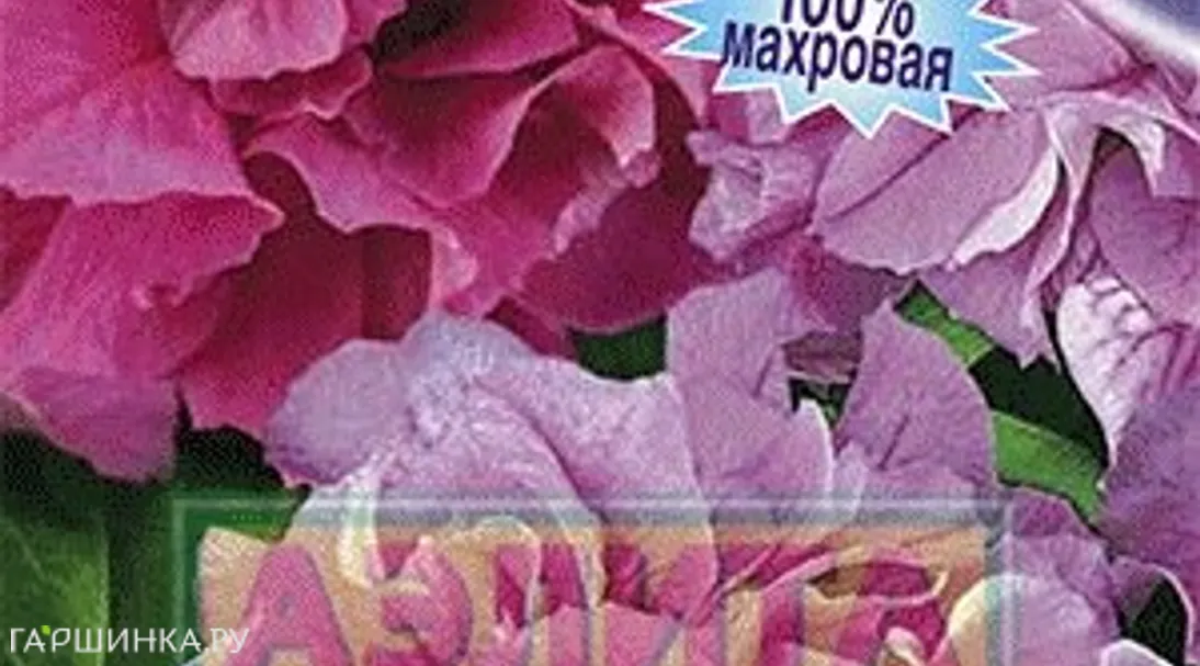 Петуния Страусово перо F1 махровая, смесь окрасок