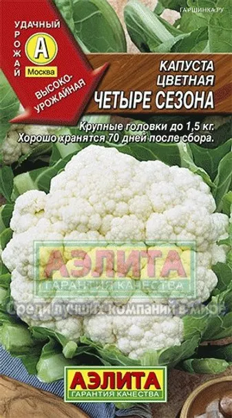 Цветная капуста Четыре сезона