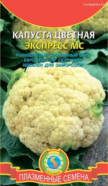 Цветная капуста Экспресс