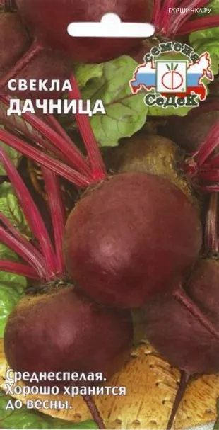 Свекла Дачница столовая