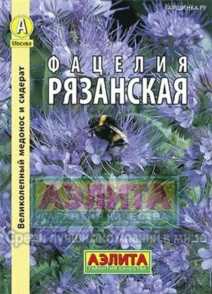 Фацелия рязанская, Семена Аэлита