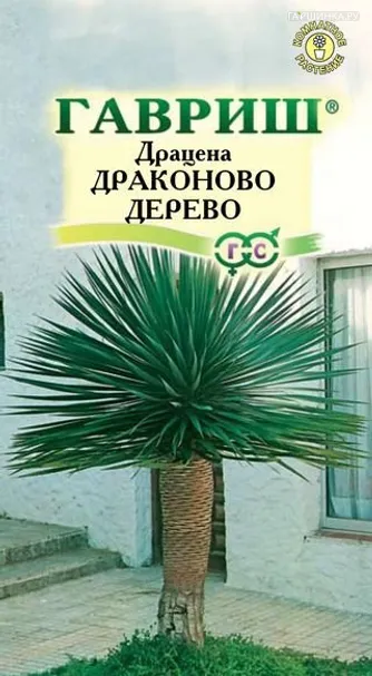 Драцена Драконово Дерево 3 шт, Семена Гавриш
