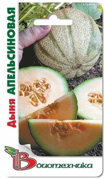 Дыня Апельсиновая