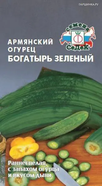 Дыня Армянский огурец 'Богатырь зелёный'