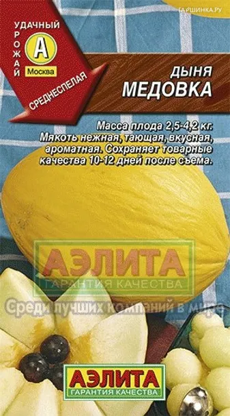 Дыня Медовка