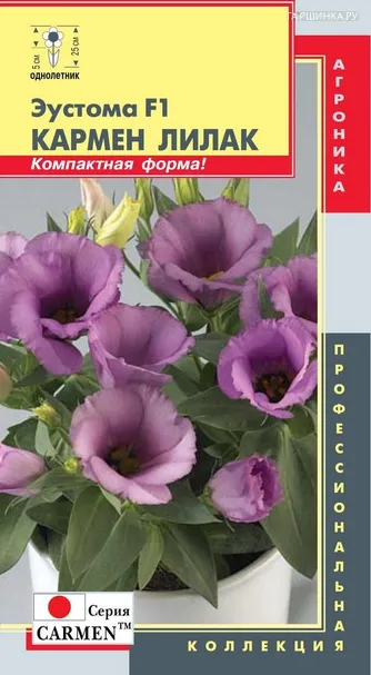 Эустома Кармен Лилак F1 (серия Carmen)