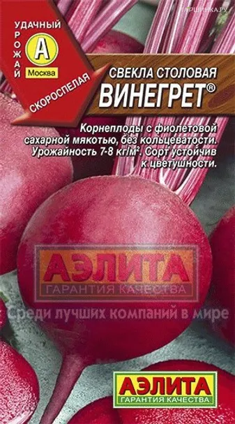 Свекла Винегрет