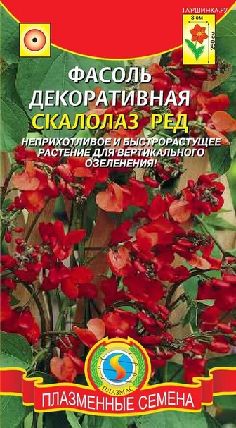 Фасоль Скалолаз Ред декоративная
