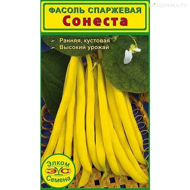 Фасоль спаржевая Сонеста (5 гр.)