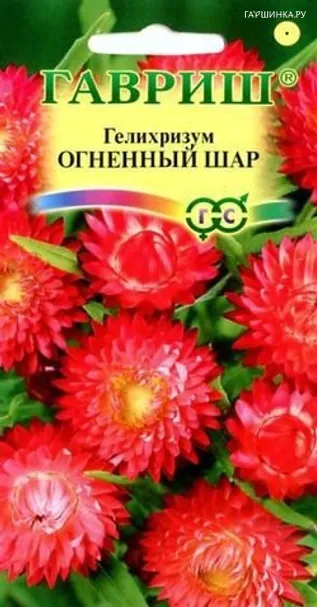 Гелихризум Огненный шар 0,2г