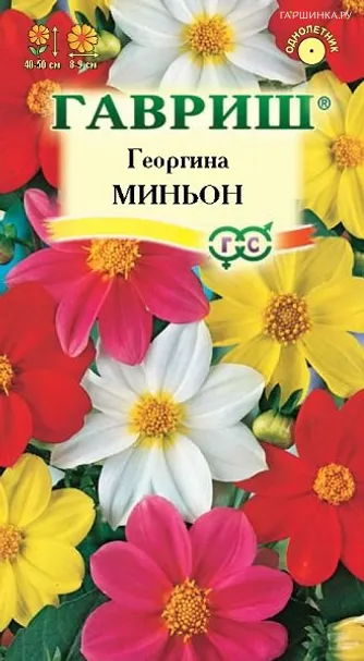 Георгина Миньон, смесь 0,3 г