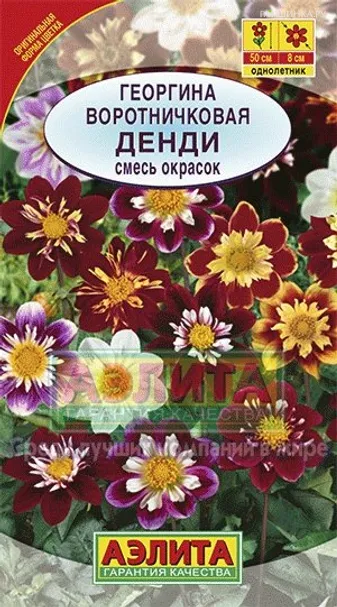 Георгина воротничковая Денди, смесь окрасок