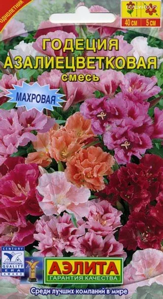 Годеция азалиецветковая махровая, смесь окрасок