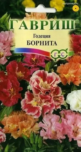 Годеция Борнита низкая смесь 0,1 г