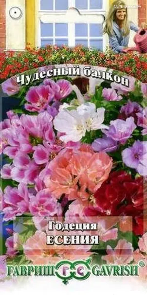 Годеция Есения* низкая смесь 0,1 г