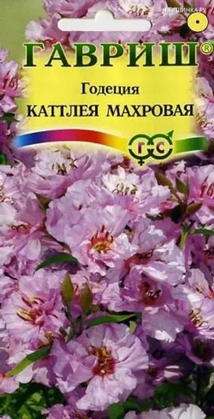 Годеция Каттлея, махровая* 0,1г