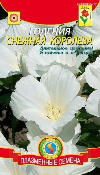 Годеция Снежная королева