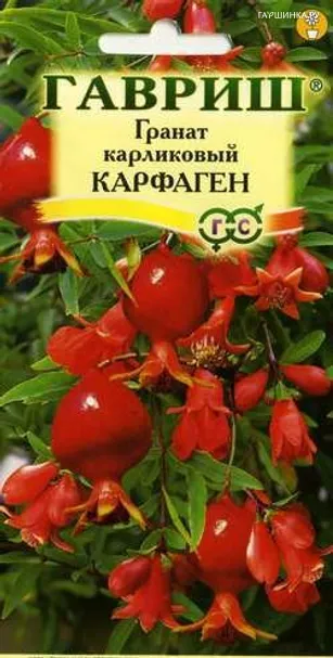 Гранат карликовый Карфаген 5 шт, Семена Гавриш