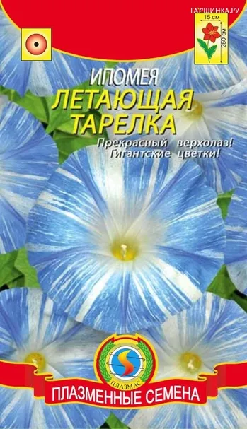 Ипомея Летающая тарелка