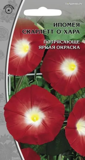 Ипомея Скарлет О~Хара