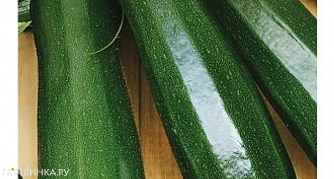 Кабачок Аэронавт 2,0 г (б/п)