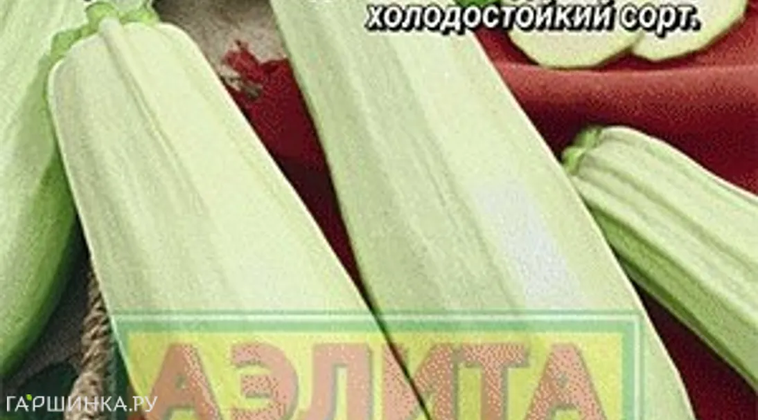 Кабачок белоплодный Умка ц/п