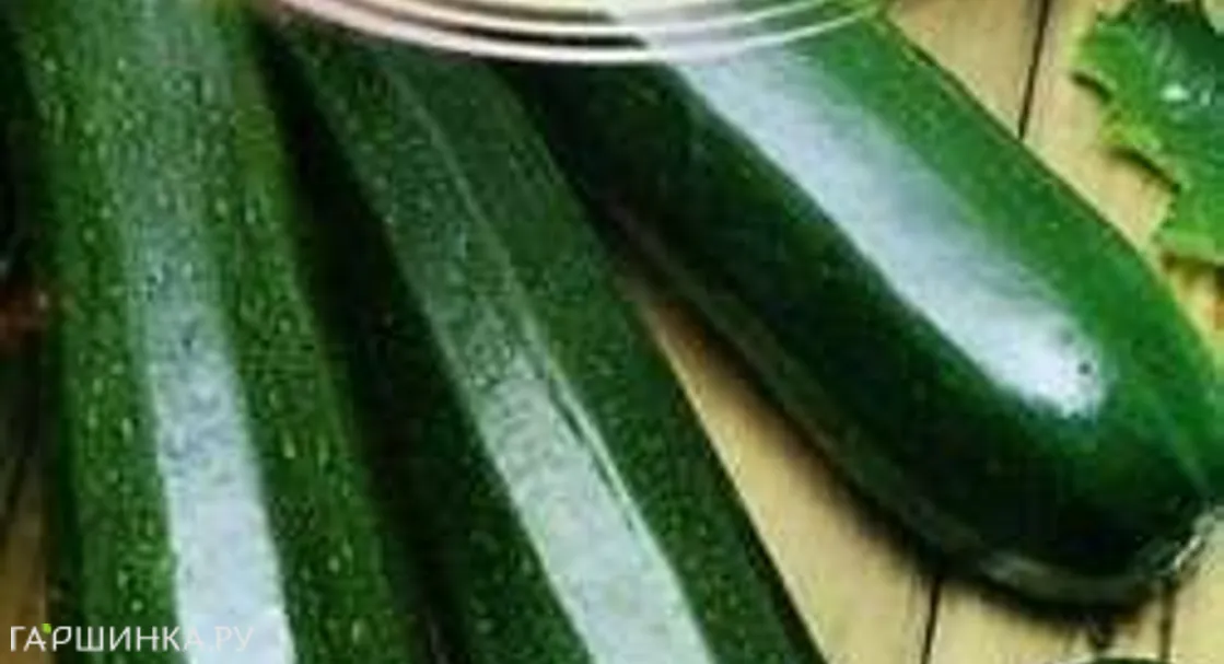 Кабачок Черный красавец б/п 2 г, Семена Гавриш