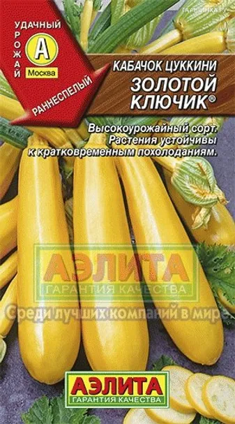 Кабачок (Цуккини) Золотой ключик