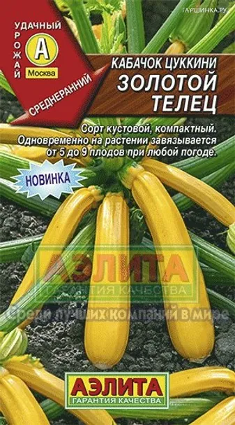 Кабачок цуккини Золотой телец